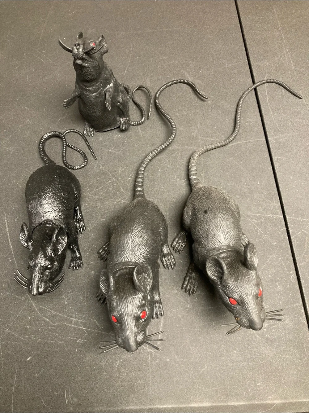 Halloween bundle Orange Skeleton Cat 4black rats 5 Decorative Pumpkins
